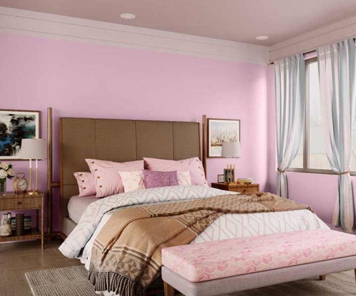 purples-pinks-colour-shade-asian-paints-9581