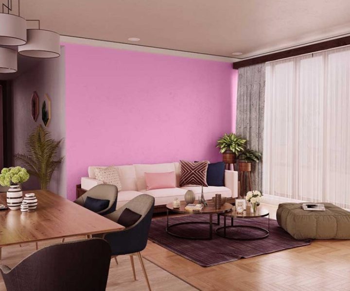 purples-pinks-colour-shade-asian-paints-9583