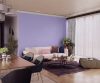 purples-pinks-colour-shade-asian-paints-9626