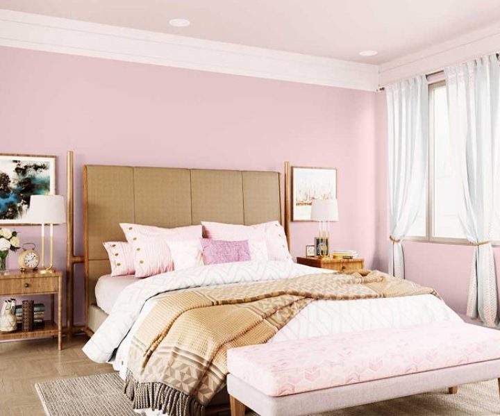 purples-pinks-colour-shade-asian-paints-K012