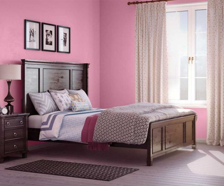 purples-pinks-colour-shade-asian-paints-K016