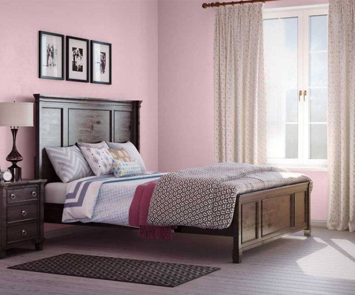 purples-pinks-colour-shade-asian-paints-K033