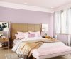 purples-pinks-colour-shade-asian-paints-K042 purples-pinks-colour-shade-asian-paints-K042