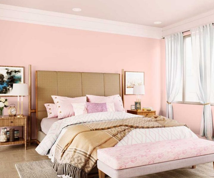 purples-pinks-colour-shade-asian-paints-K233