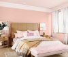 purples-pinks-colour-shade-asian-paints-K234