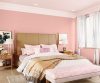 purples-pinks-colour-shade-asian-paints-K251