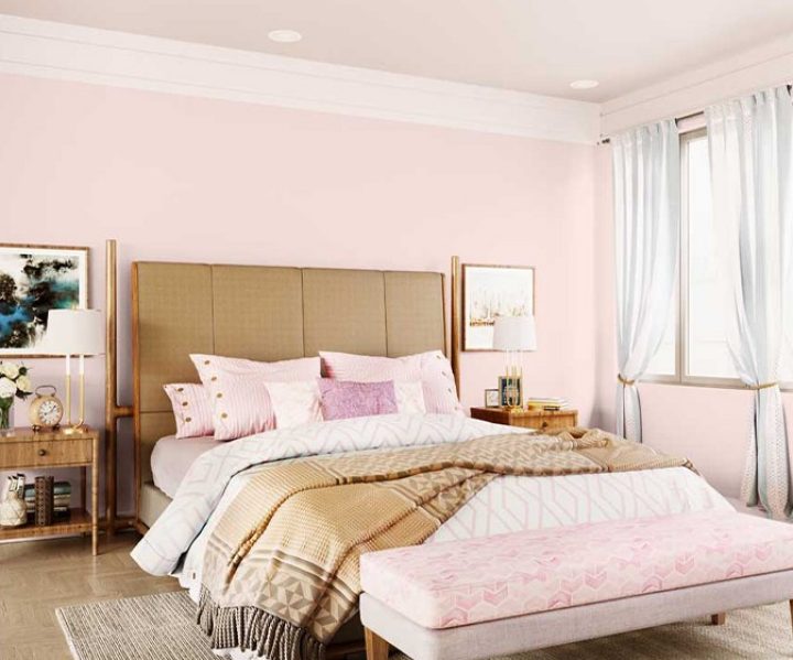 purples-pinks-colour-shade-asian-paints-K257 purples-pinks-colour-shade-asian-paints-K257