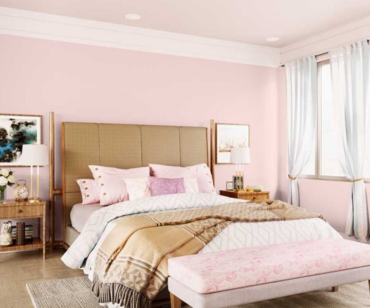 purples-pinks-colour-shade-asian-paints-K258 purples-pinks-colour-shade-asian-paints-K258