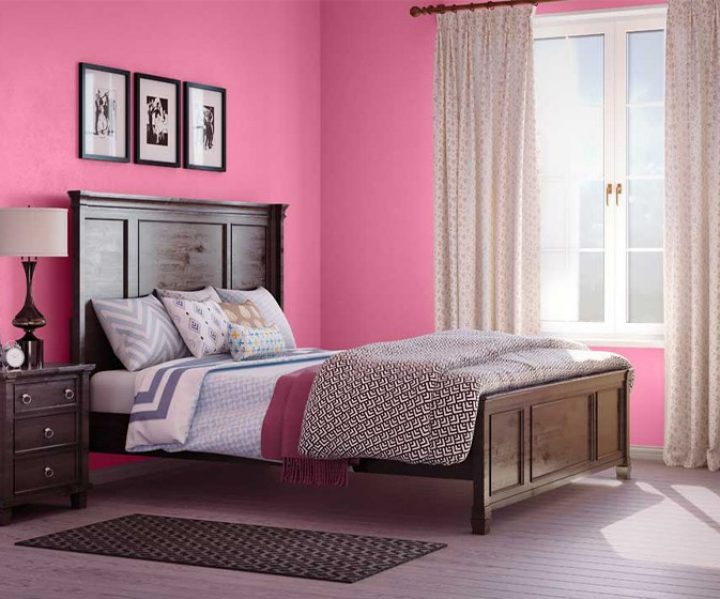 purples-pinks-colour-shade-asian-paints-X204