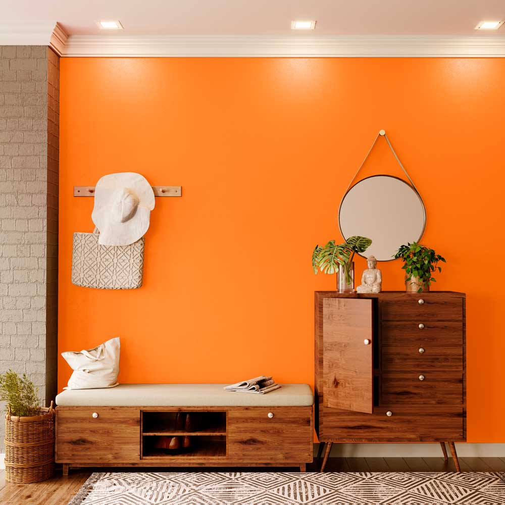 Try Goldfish House Paint Colour Shades For Walls Asian Paints