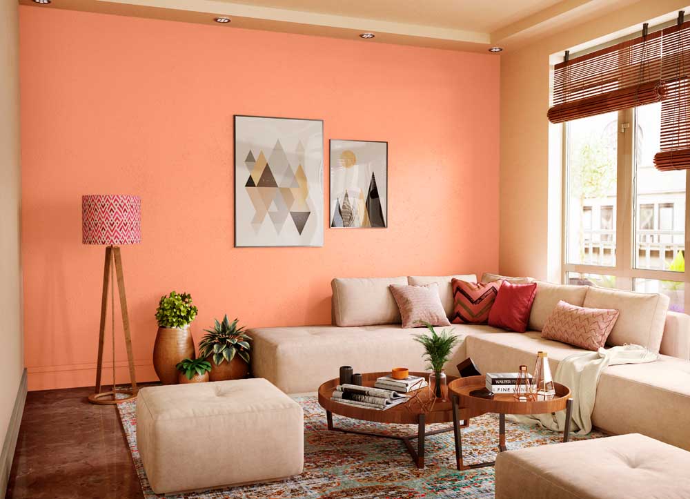 Orange Silk Wall Painting Colour 2200, Light Orange Paint Color