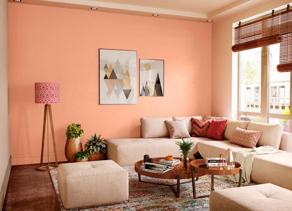 Asian Paints Ideal For Living Room