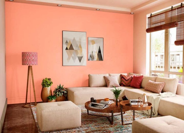 Try Carrot Punch House Paint Colour Shades For Walls Asian Paints - Berger Paints Colour Code Pdf