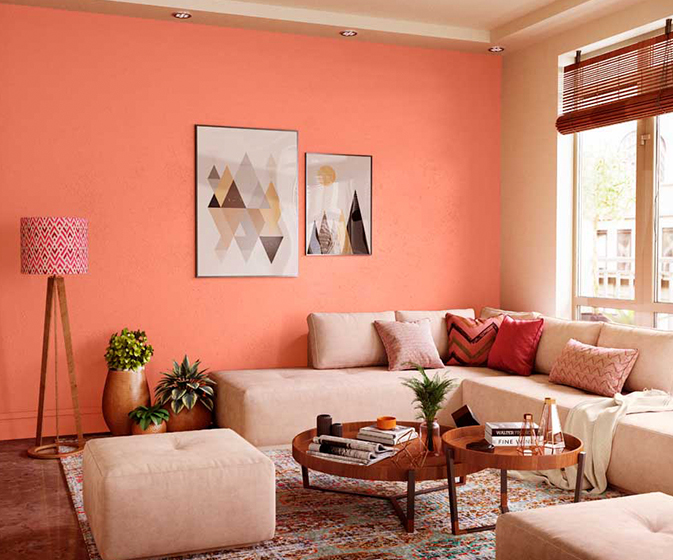 Coral Cove 8030 House Wall Painting Colour Asian Paints