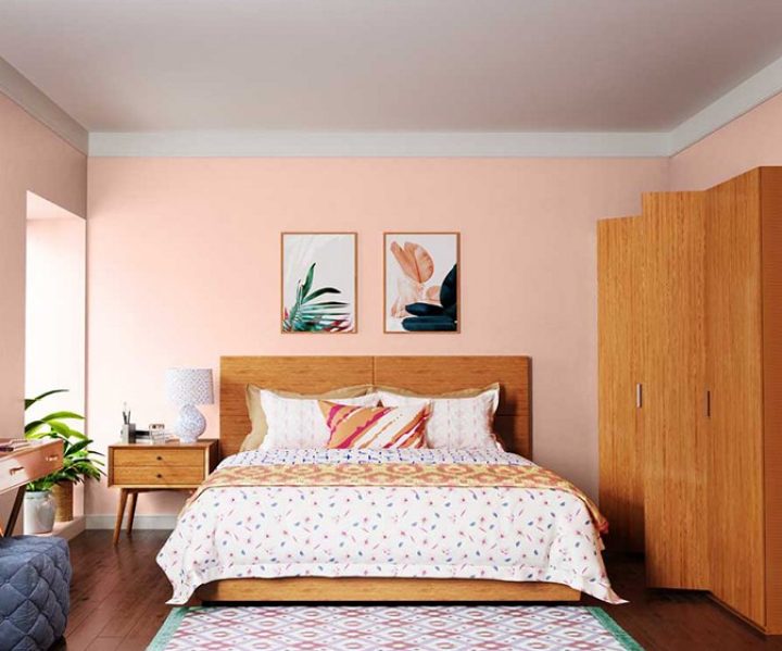 reds-oranges-colour-shade-asian-paints-8034