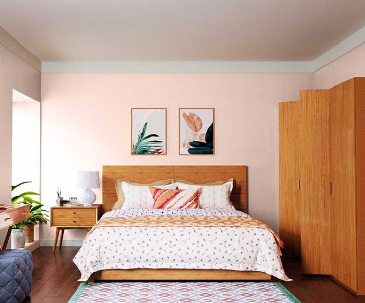 reds-oranges-colour-shade-asian-paints-8035 reds-oranges-colour-shade-asian-paints-8035