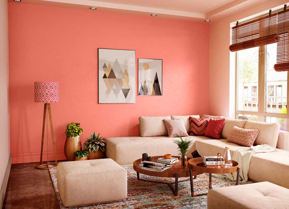 Try Coral Island House Paint Colour Shades for Walls