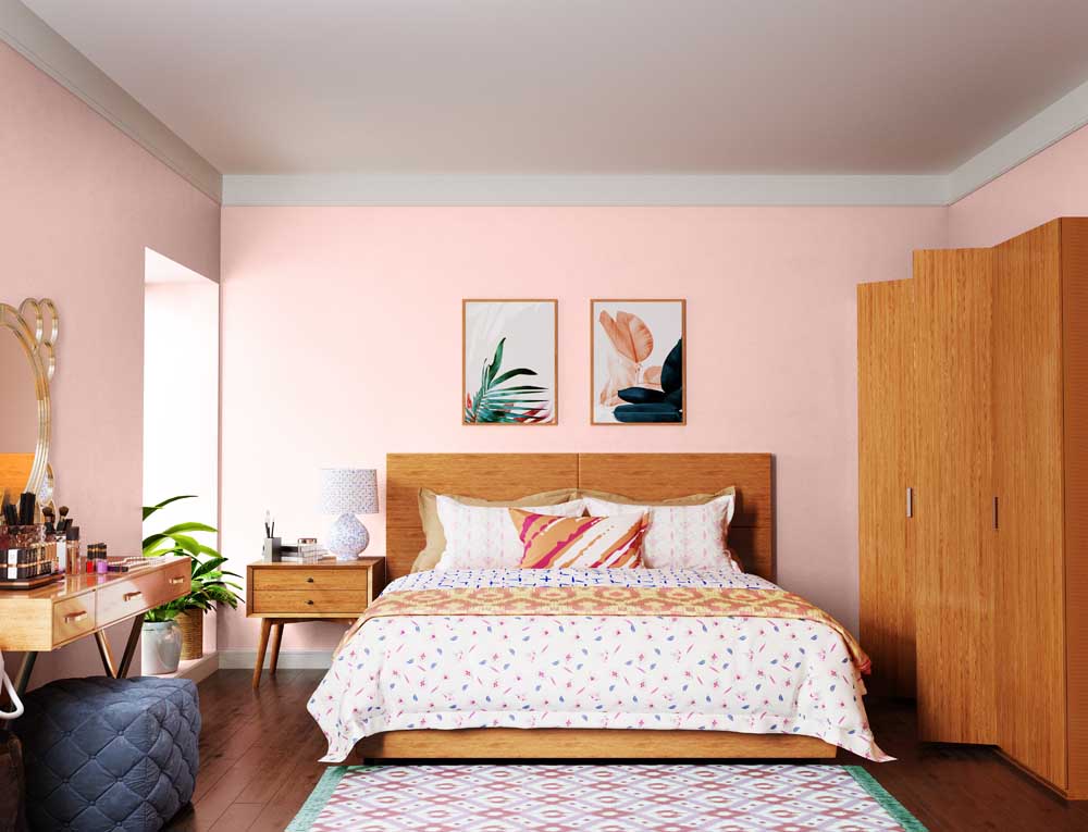 Rosette (8050) House Wall Painting Colour Asian Paints