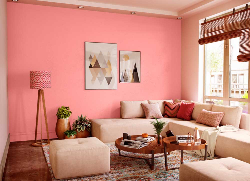 Rose Mist Wall Painting Colour 2200 Paint Colour Shades By Asian Paints