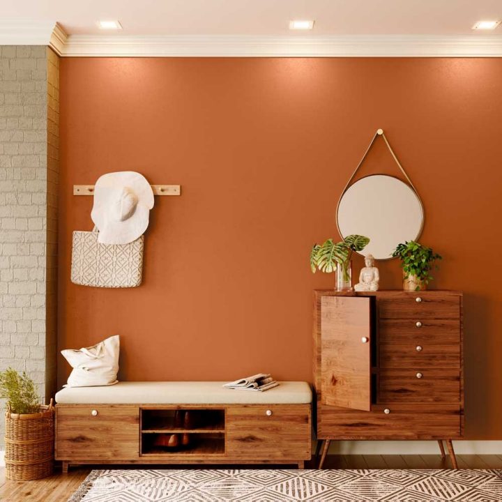 reds-oranges-colour-shade-asian-paints-9901