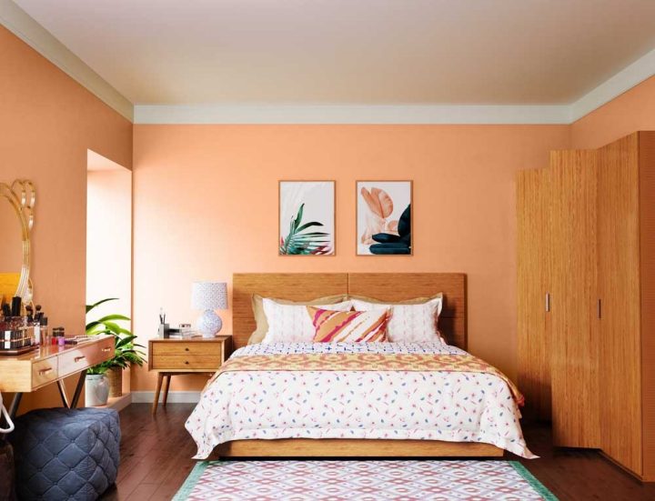 reds-oranges-colour-shade-asian-paints-9911