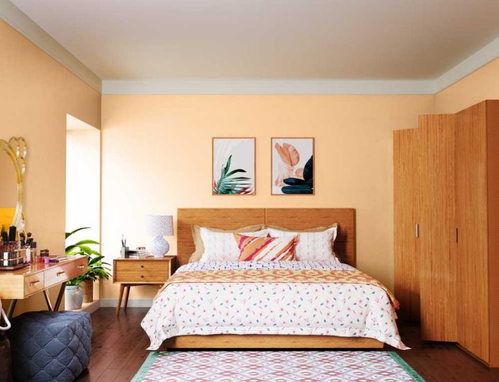 reds-oranges-colour-shade-asian-paints-9917