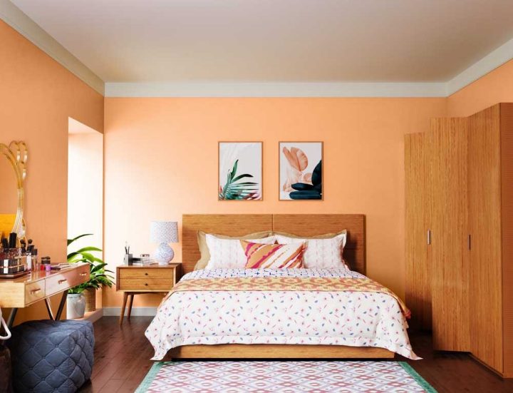 reds-oranges-colour-shade-asian-paints-9919