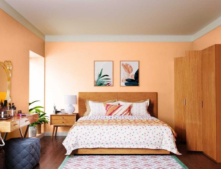 reds-oranges-colour-shade-asian-paints-9936
