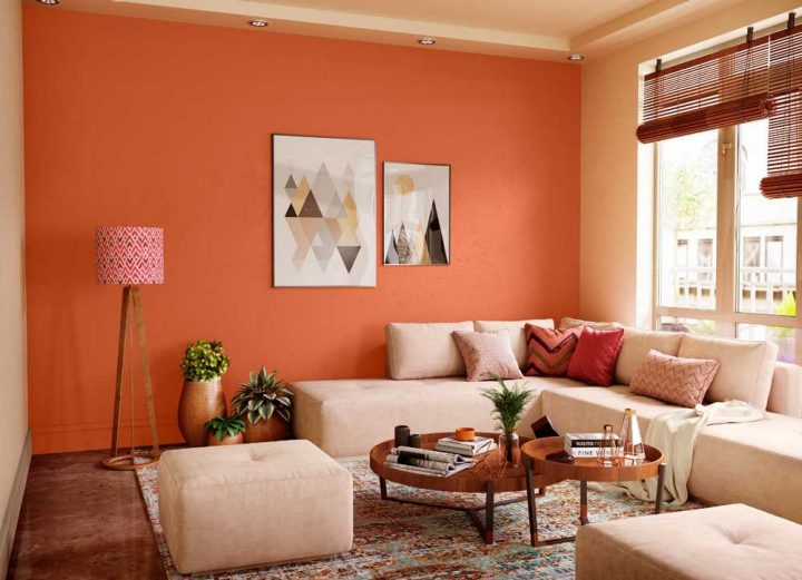 reds-oranges-colour-shade-asian-paints-9971