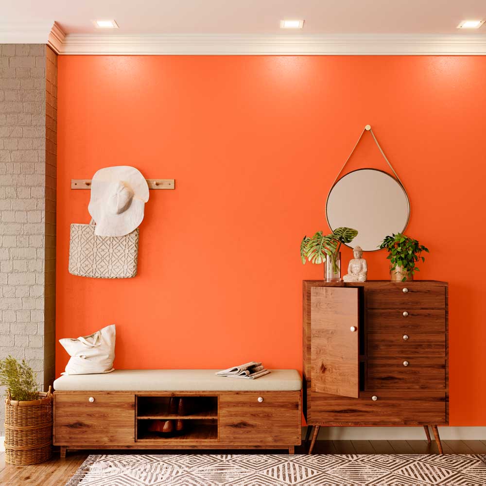 Palash-I (X177) House Wall Painting Colour | Asian Paints