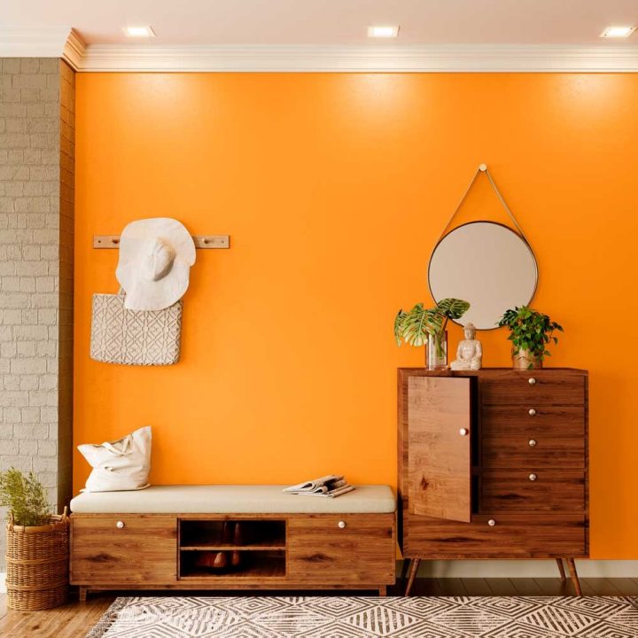reds-oranges-colour-shade-asian-paints-X221