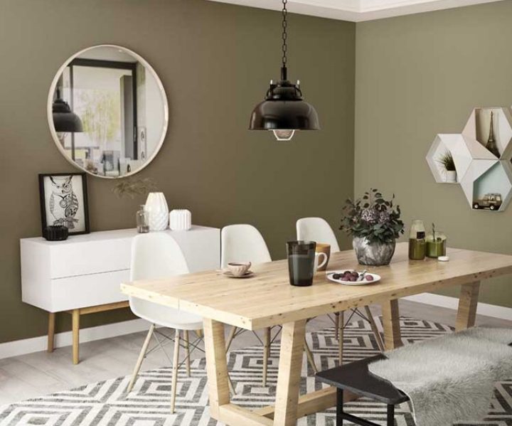 warm-neutrals-colour-shade-asian-paints-8478