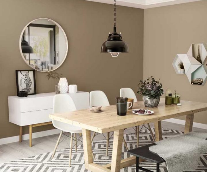 warm-neutrals-colour-shade-asian-paints-8495