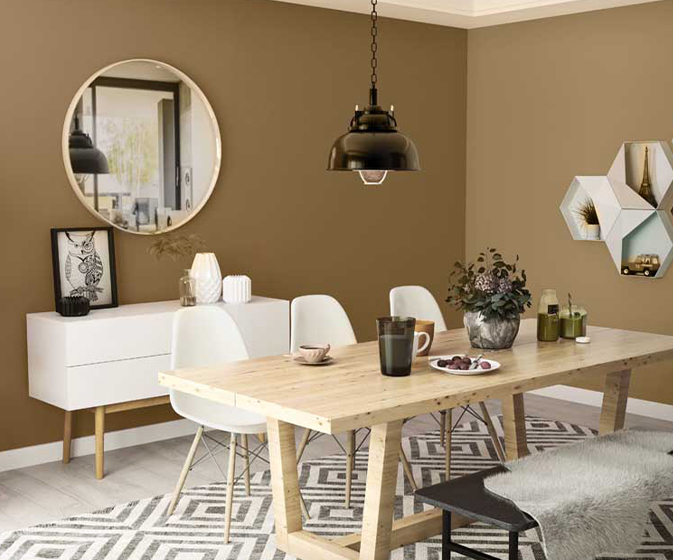 Pampas (8501) House Wall Painting Colour | Asian Paints