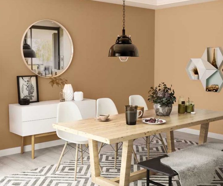 Try Balsam Brown House Paint Colour Shades For Walls Asian Paints - Brown Paint Colours For Walls