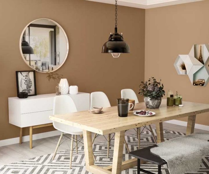 warm-neutrals-colour-shade-asian-paints-8527 warm-neutrals-colour-shade-asian-paints-8527