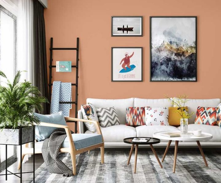 warm-neutrals-colour-shade-asian-paints-8591