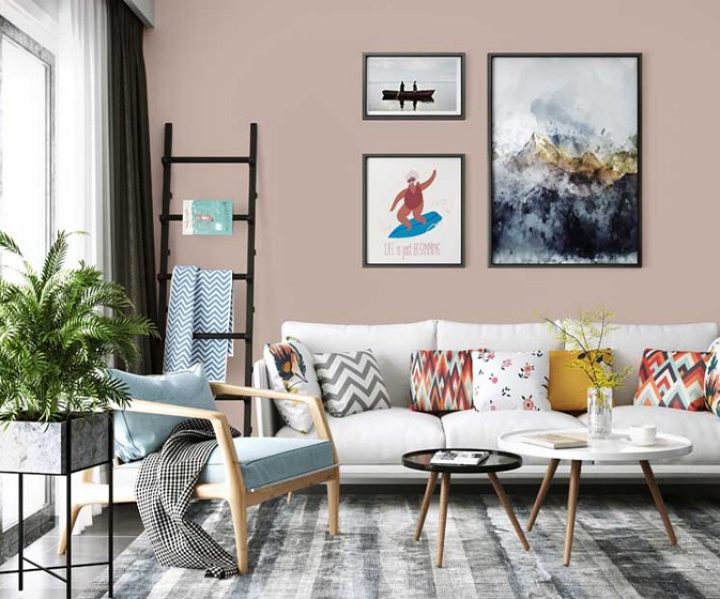 warm-neutrals-colour-shade-asian-paints-8657