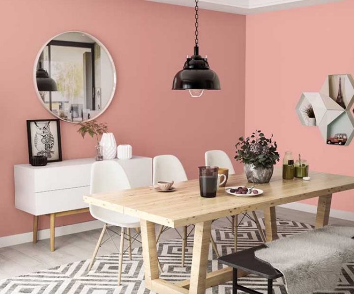 warm-neutrals-colour-shade-asian-paints-8673 warm-neutrals-colour-shade-asian-paints-8673