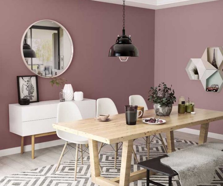 warm-neutrals-colour-shade-asian-paints-8687 warm-neutrals-colour-shade-asian-paints-8687