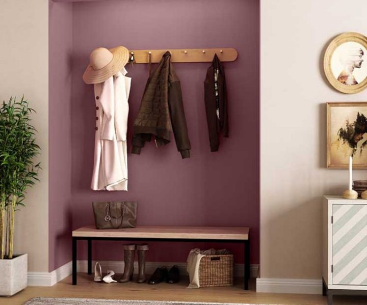 warm-neutrals-colour-shade-asian-paints-8709