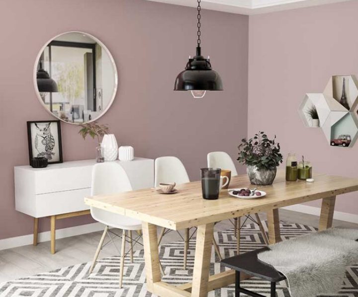 warm-neutrals-colour-shade-asian-paints-8745