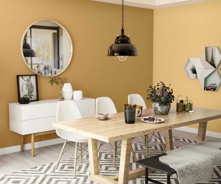 warm-neutrals-colour-shade-asian-paints-9880