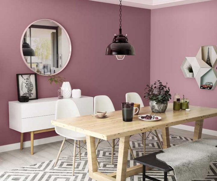 warm-neutrals-colour-shade-asian-paints-K025 warm-neutrals-colour-shade-asian-paints-K025