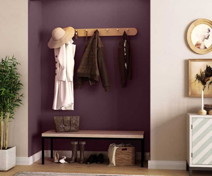 warm-neutrals-colour-shade-asian-paints-K030