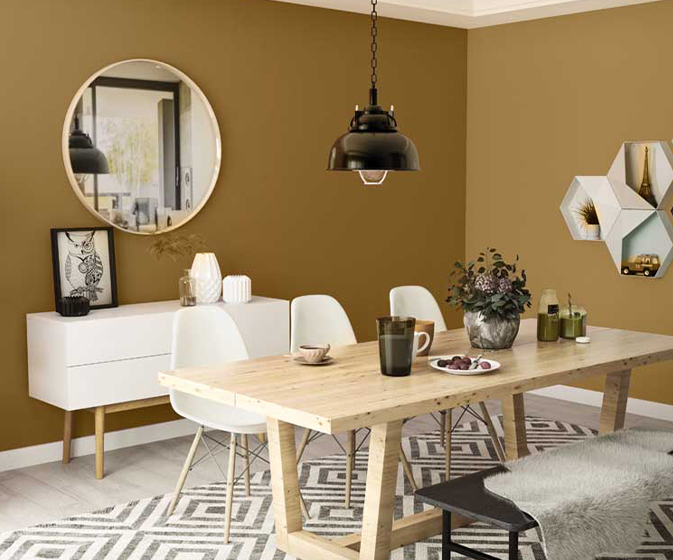Try Ragi Brown N House Paint Colour Shades for Walls - Asian Paints