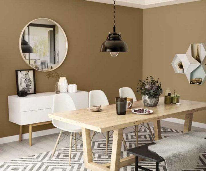 warm-neutrals-colour-shade-asian-paints-K175