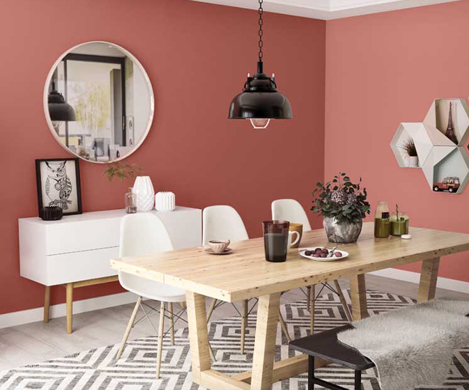 Try Nutmeg Cream N House Paint Colour Shades for Walls - Asian Paints