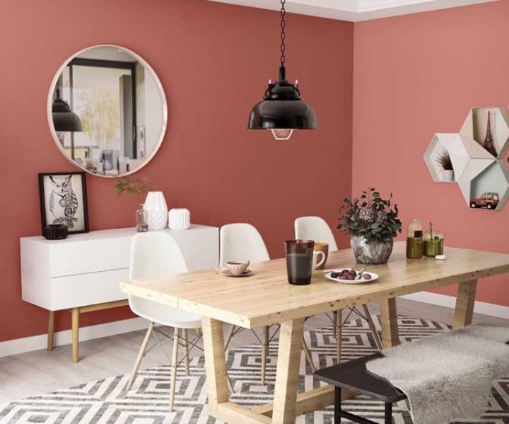 warm-neutrals-colour-shade-asian-paints-K228