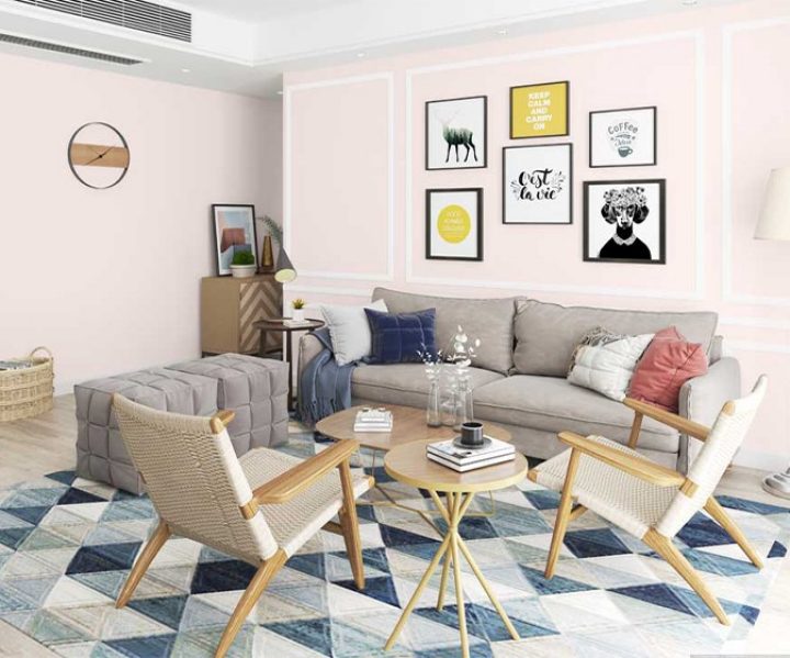 whites-colour-shade-asian-paints-8700 whites-colour-shade-asian-paints-8700